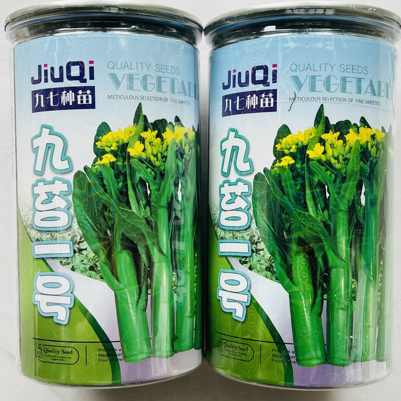 广东四九菜心种子红菜苔白菜苔四季蔬菜种籽孑增城迟青菜菜籽大全