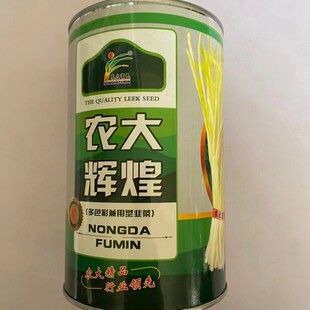 河南农大韭菜种子韭黄韭菜籽不休眠韭菜抗病高产大棚大田韭菜