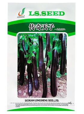 传奇天子一代杂交种籽黑龙茄子黑紫色早熟高产蔬菜长茄孑龙盛茄子