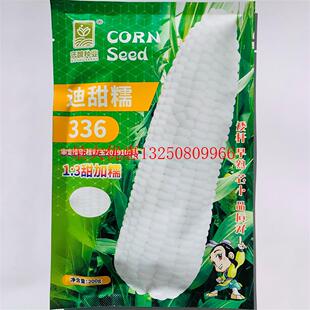 迪甜糯336白甜糯玉米种子早熟高产大棒甜加糯好吃白玉米种籽