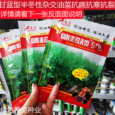 南马德超矮999油菜种子甘蓝型油菜籽抗病高产不倒伏秋季大田用种