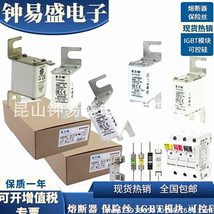 巴斯曼Bussmann熔断器1000V 200A 170M4813，170M4833
