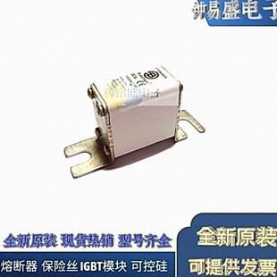 美国BUSSMANN熔断器170M4208 170M4209 170M4210 170M4211