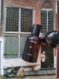 现货 Aesop/伊索 Tacit悟香水50ml EDP中性香水