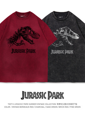 TEE7-经典影视侏罗纪公园水洗做旧复古纯棉ins高街短袖T恤