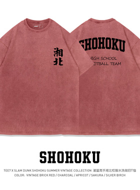 TEE7-灌篮高手湘北全国大赛出征T恤水洗做旧复古动漫重磅纯棉短袖