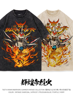 TEE7-魔神坛斗士光明皇帝短袖T恤水洗做旧复古动漫重磅纯棉宽松