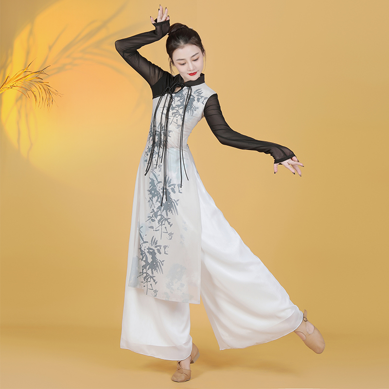 古典舞练功服身韵纱衣春夏长袖表演服中国舞旗袍艺考舞蹈服套装女