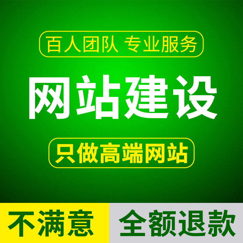网站建设网页制作与设计外贸独立站搭建自做开发制作公司企业网站图片