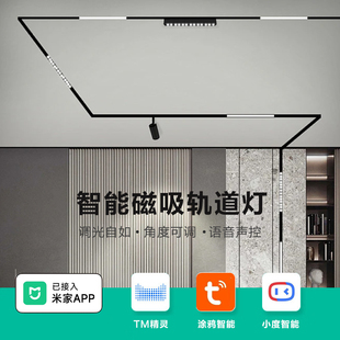 支持涂鸦zigbee小度mesh直连智能护眼声控24V三线集控磁吸轨道灯