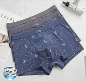 包邮 普利诗正品 弹力棉舒适莫代尔大学生中老青年男士 3条 平角内裤