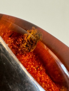 植物琥珀戒指 欧洲925银镶天然无优化金珀老琥珀植物包裹体