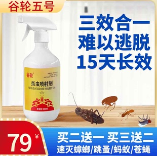 【谷轮lvq杀虫剂】五号蟑螂药蚂蚁小虫子跳蚤臭虫药家用杀虫剂