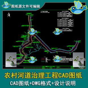 农村水系连通综合整治工程河道治理平面布置图导流典型断面CAD图