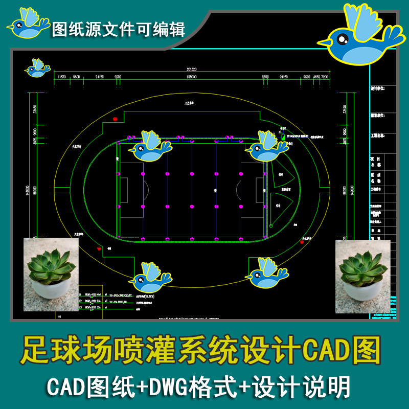足球场喷灌系统平面图排水平面布局设计CAD施工图