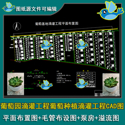 葡萄园滴灌工程葡萄种植滴灌工程平面布置图泵房毛管布设图CAD图