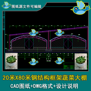 20米X80米钢结构框架蔬菜大棚设计太阳能板屋面基础布置图CAD图
