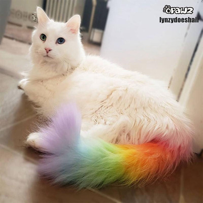 小爪印opawz宠物染色剂狗狗猫咪染毛膏马卡龙八色 可水洗慢慢变淡