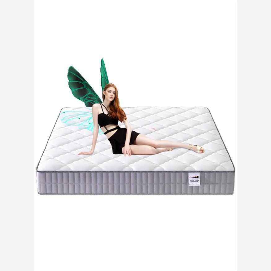 希尔顿酒店专用两祇绵羊