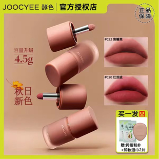 C22雾面棕色氛围秋冬正品 新版 joocyee酵色多用霜唇泥唇釉口红C21
