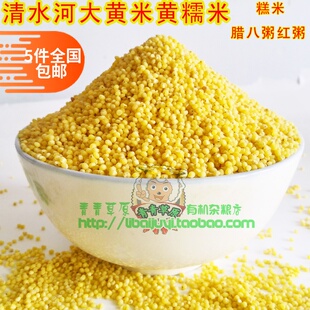 内蒙古清水河大黄米粘黄糯米糕米 黏豆包腊八粥食材粗粮杂粮500g