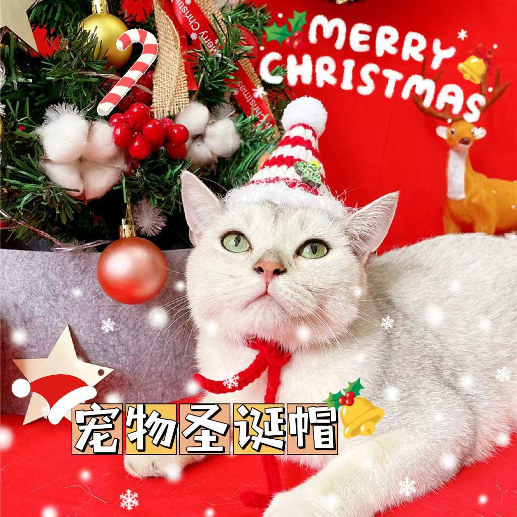 新款宠物圣诞节可爱星星球球帽子小猫针织毛线帽狗狗衣服饰品礼物