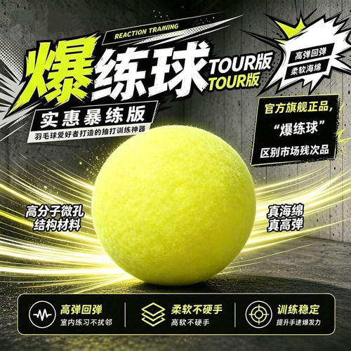 t-ball毛球爆练球击墙羽毛球训练