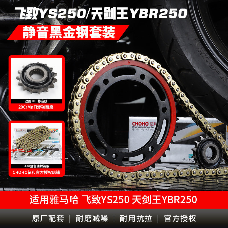 适用雅马哈飞致YS250天剑王YBR250改装静音牙盘链轮油封链条配件