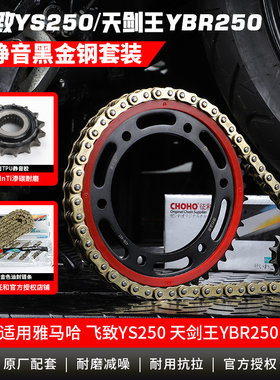 适用雅马哈飞致YS250天剑王YBR250改装静音牙盘链轮油封链条配件