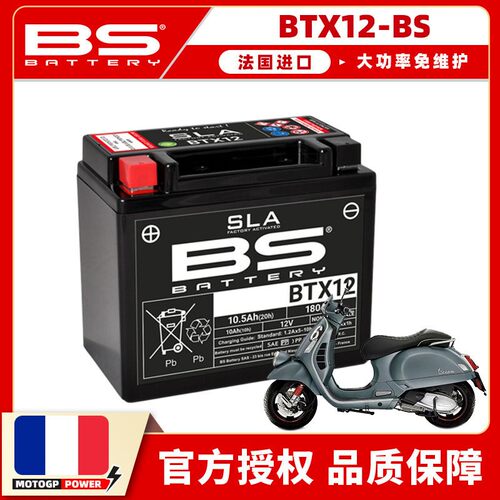 维斯帕电瓶GTS300适用BS