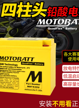 哈雷1745cc Softail豪雅软尾Deluxe软尾司令SOFTAIL SLIM电瓶电池