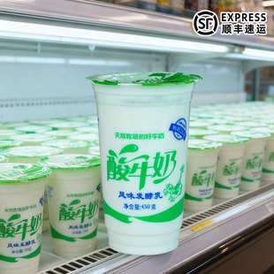 蒙纯 凝固型酸奶450g *6杯 大绿杯 老冰棍酸奶 不含添加剂