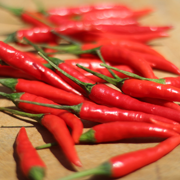 福茹特新鲜越南特辣小米辣椒超辣红辣剁椒朝天椒七星椒指天椒蔬菜