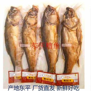 山东东平湖特产东平糟鱼整条鲢鱼真空500g卤味微辣淡水鱼炖鱼熟食