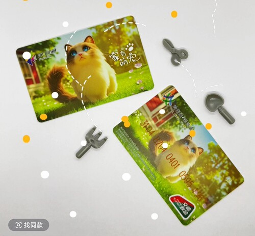 深圳通深圳地铁公交家有萌宠小花猫岭南通全国交通联合一卡通