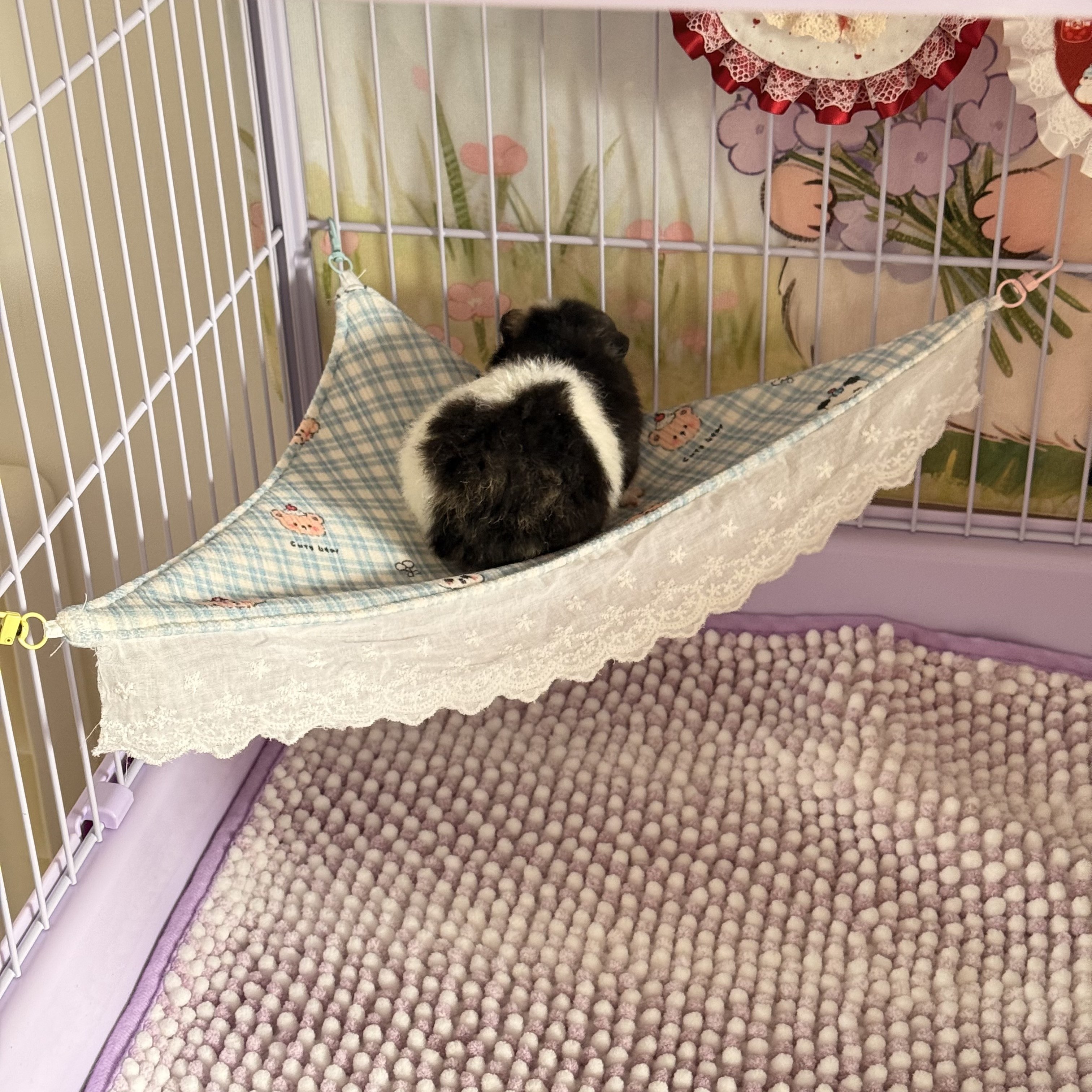 荷兰猪侏儒兔三角吊床睡窝豚鼠秋千宠物玩具用品专用双面豚鼠悬挂,宠物/宠物食品及用品,玩具/造景装饰,淘宝优惠券,粉丝福利购,淘宝优惠卷