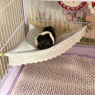 荷兰猪侏儒兔三角吊床睡窝豚鼠秋千宠物玩具用品专用双面豚鼠悬挂