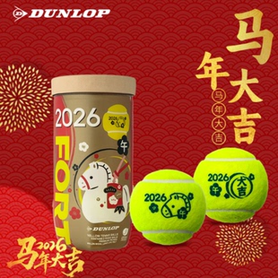 邓禄普DUNLOP网球生肖球马年球纪念款运动训练比赛用球高弹性网球