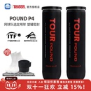 天龙冲击波网球耐磨比赛练习球4个装 P4罐装 训练球 pound teloon