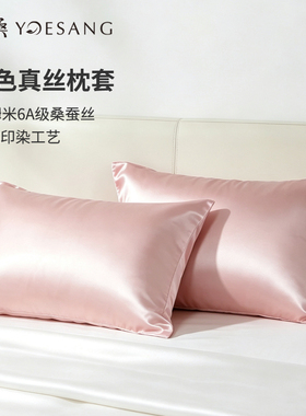 月桑19/22姆米真丝枕套6A桑蚕丝枕头套单个枕芯内胆套成人48x74cm