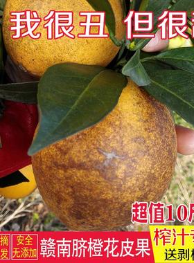正宗赣南脐橙江西安远信丰寻乌榨汁丑橙子花皮果20斤新鲜水果包邮