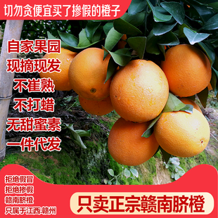 新鲜水果现摘正宗赣南脐橙子安远信丰寻乌榨汁甜橙子10斤20斤包邮