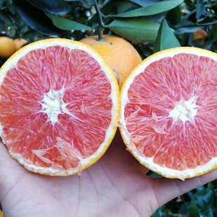 新鲜水果安远正宗赣南血橙红肉红心甜橙子10斤20斤包邮