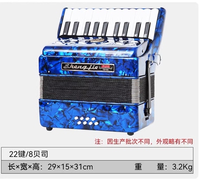 圣杰厂家直销贝司22键初学手风琴