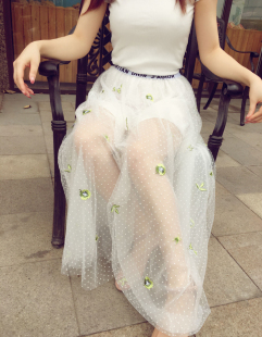 网纱仙女裙半身长裙 大摆 ins超火刘亦菲王子文同款 梦幻透视刺绣