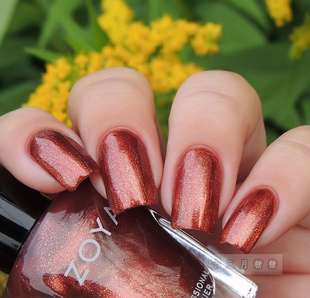 美国正品ZOYA指甲油 秋冬 autumn ZP754 明月秋账 金棕红珠光色