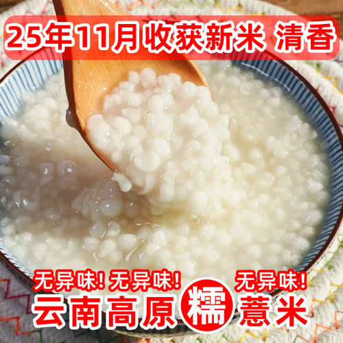 云南高原小粒糯薏米仁新米2025年新鲜软糯薏苡仁米薏仁米杂粮500g