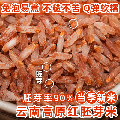 云南高原红胚芽米老品种贡米半糙大米全胚芽红米25年新米红软米