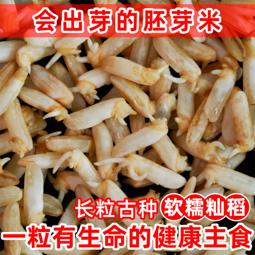 遮放籼米胚芽米5包1斤装氮气锁鲜