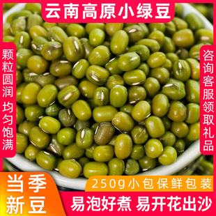 云南高原小绿豆新货五谷杂粮豆粥原料专用绿豆沙绿豆汤农家种